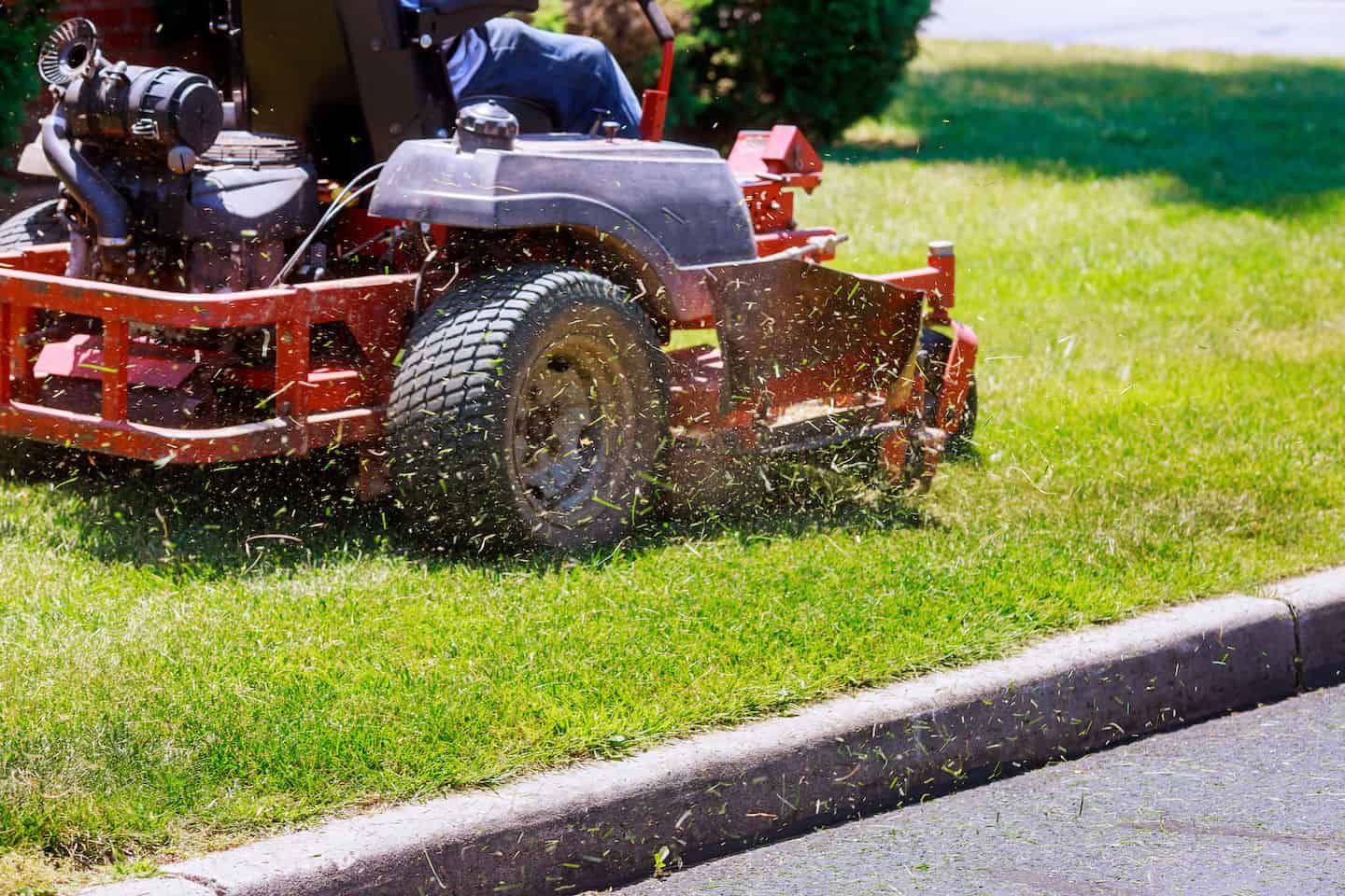 Lawn Mowing image