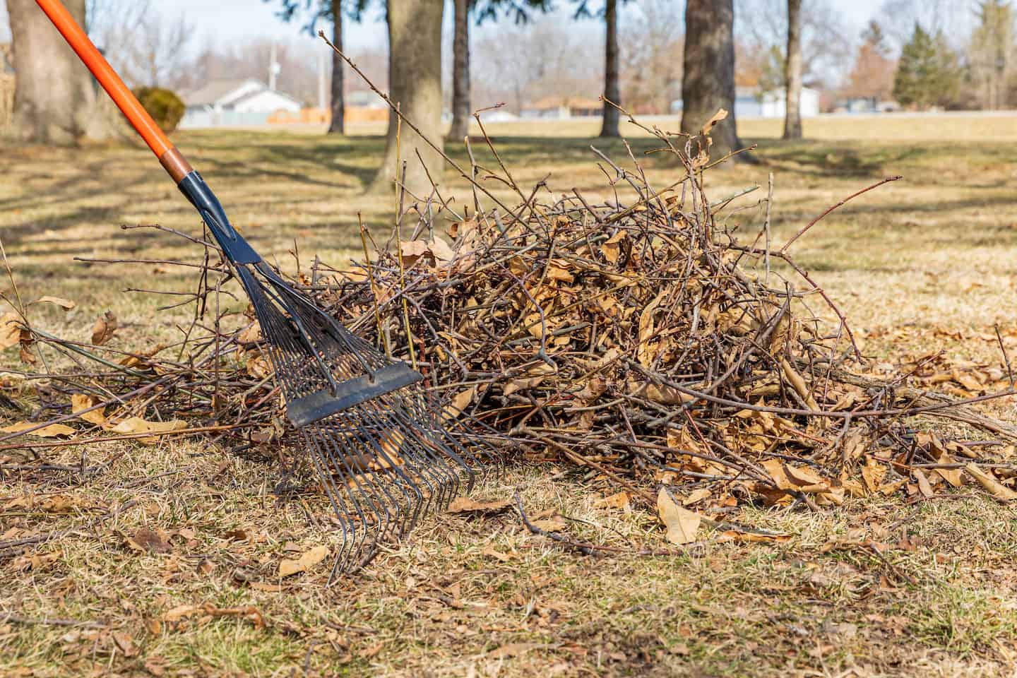 Spring Cleanup image