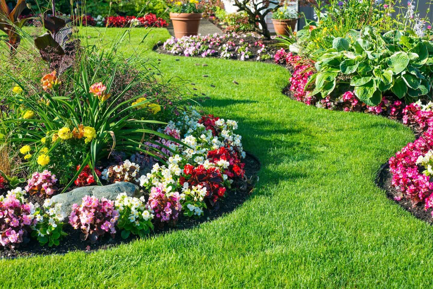 Edging of Landscape Beds image