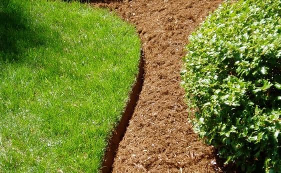 Lush green grass and freshly mulched garden pathway with shrubbery.