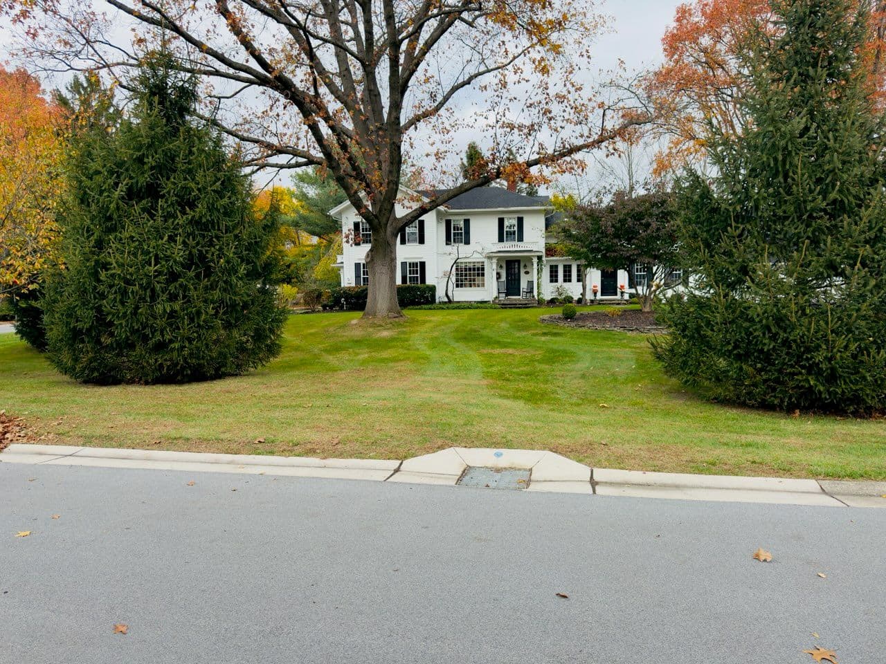 Project Spring Lawn Cleanup and Transformation image