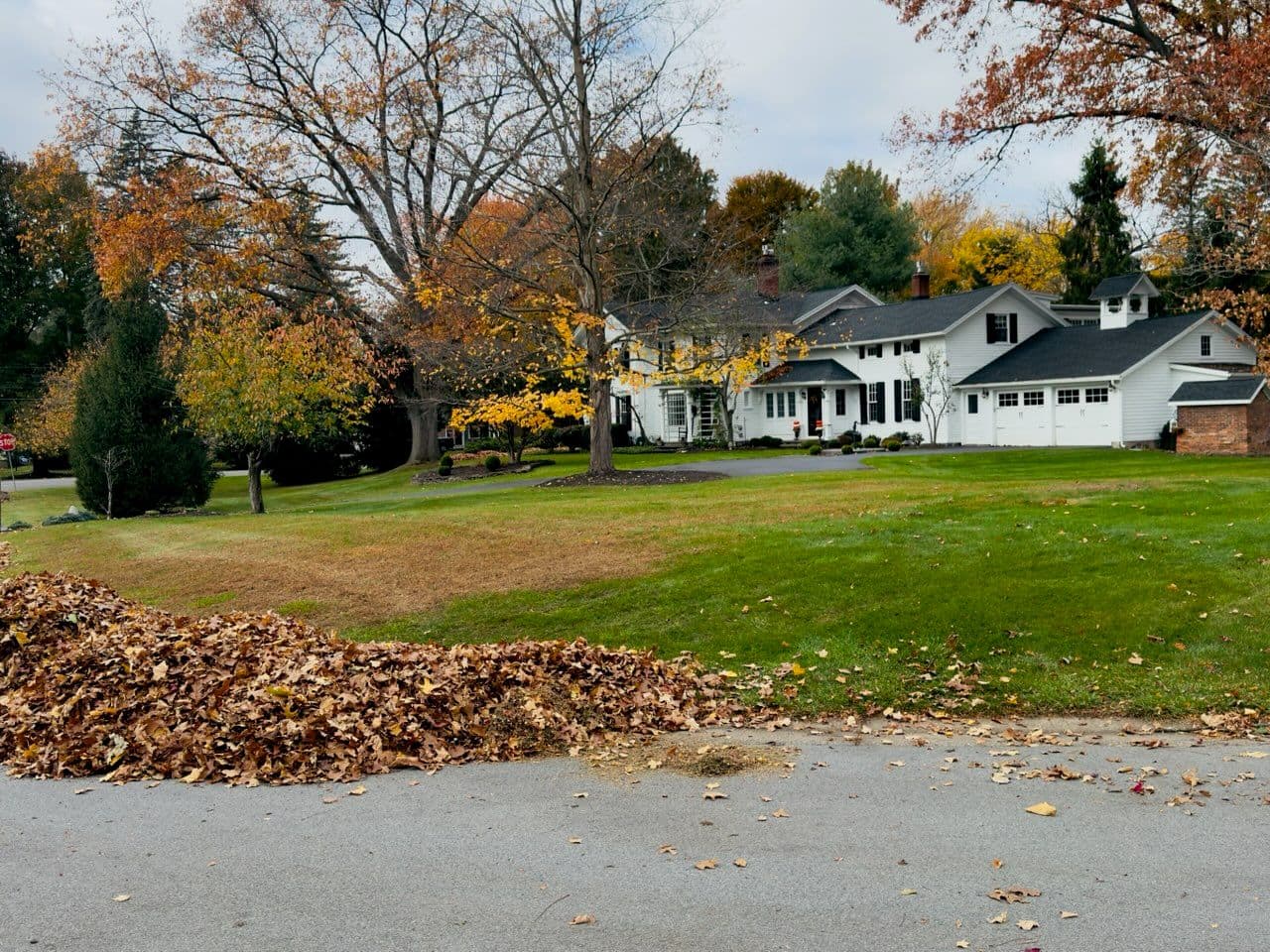 Gallery photos for Spring Lawn Cleanup and Transformation: Image #1