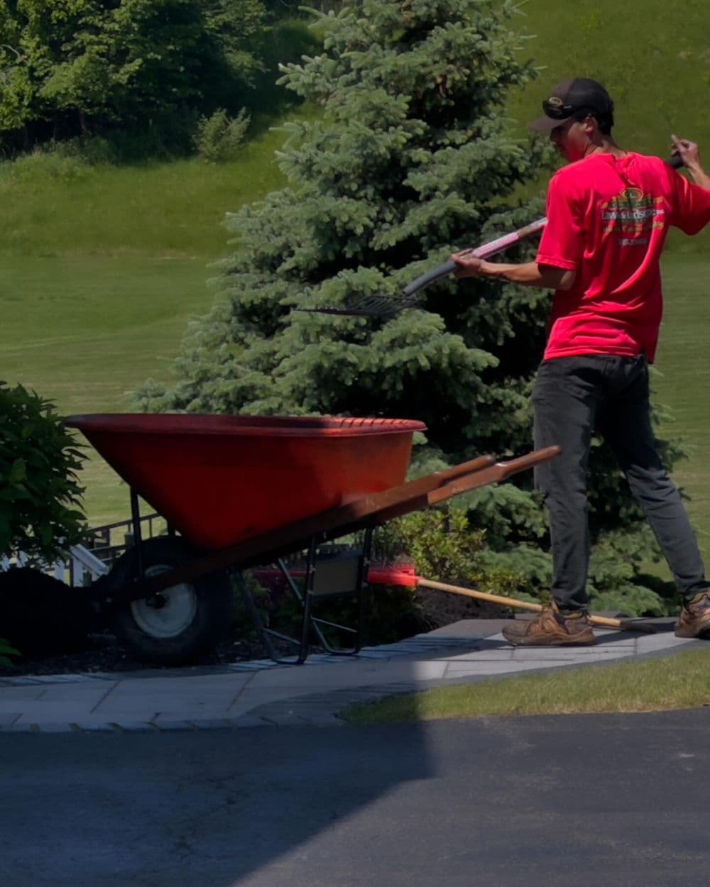 Person in red shirt using a rake near a wheelbarrow and greenery in sunny outdoor setting.