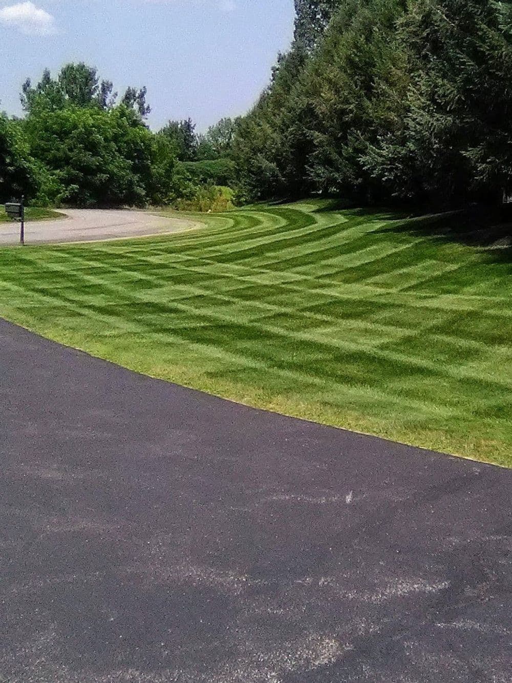 Lawn with neatly striped patterns contrasting with a paved driveway and surrounding greenery.