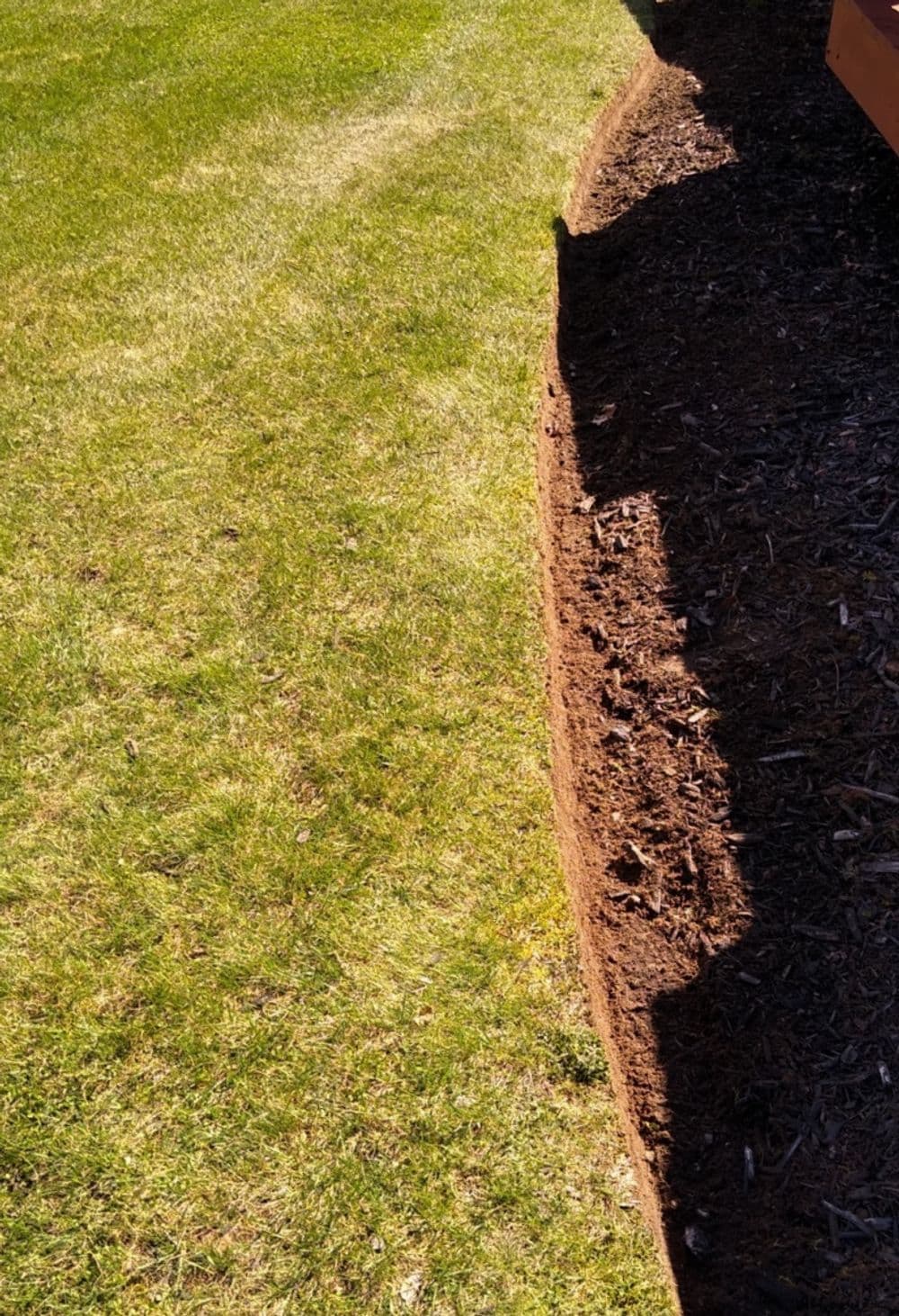 Curved garden edge showing freshly dug soil and well-maintained green grass.