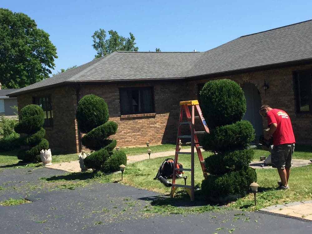 Man trimming decorative topiary shrubs in front of a brick house on a sunny day.