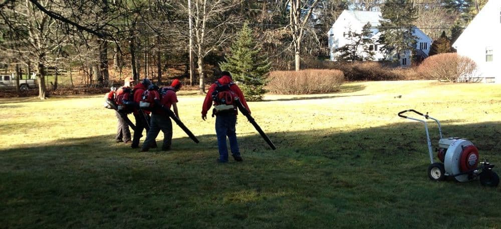 Team of landscapers using leaf blowers in a residential yard during autumn cleanup.