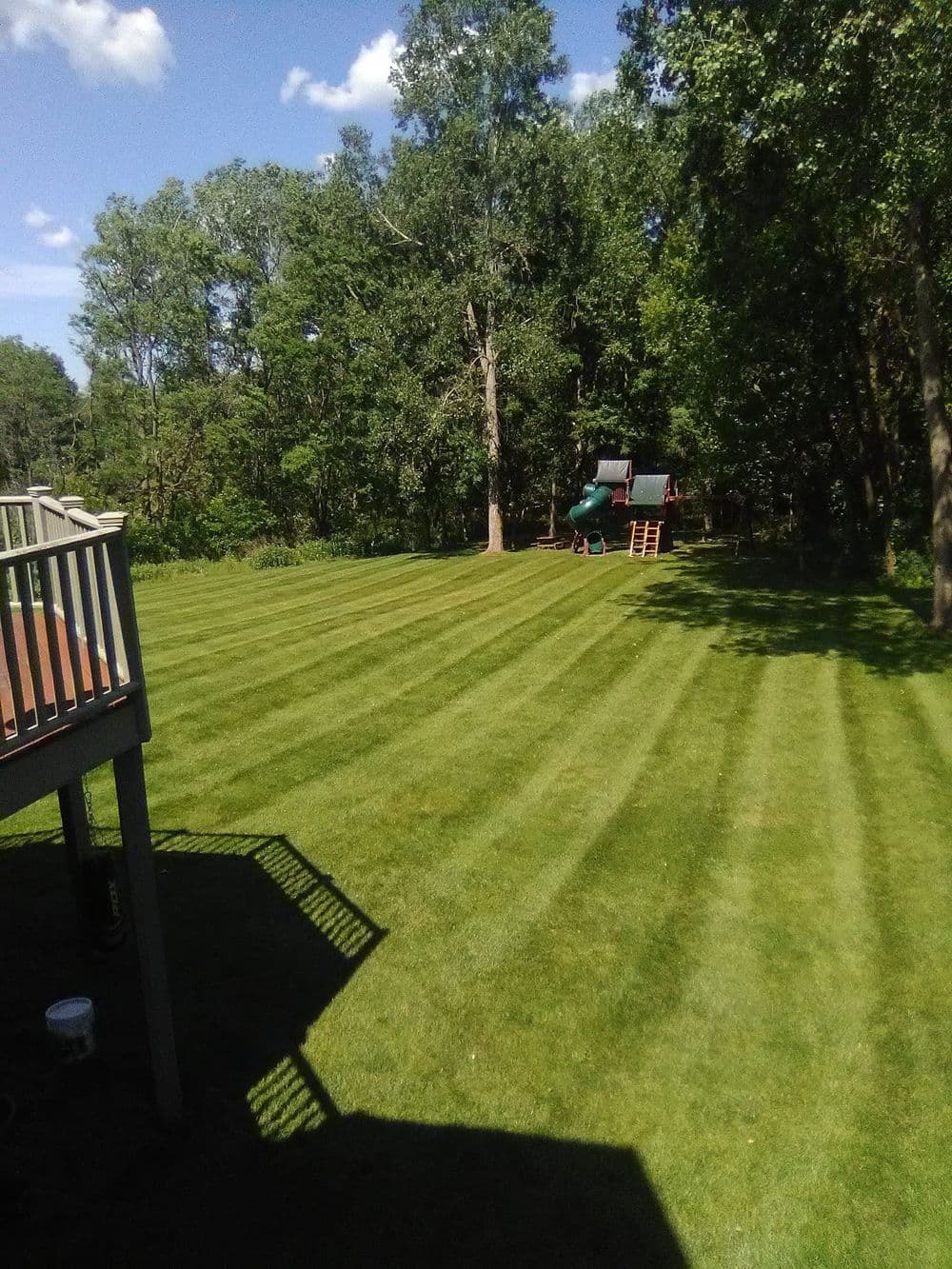 Well-maintained lawn with striped grass, surrounded by trees and a deck in sunlight.