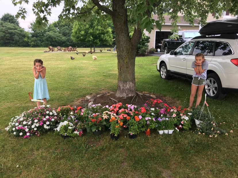 Family-Owned Commitment's image