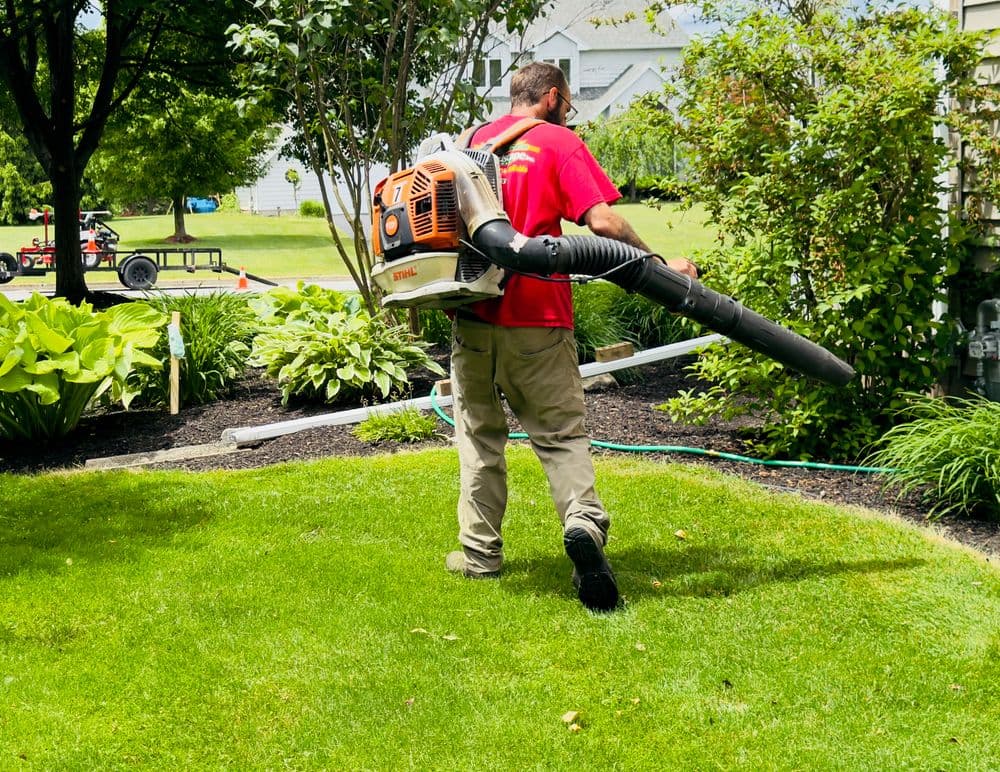Man using a backpack leaf blower to clean the lawn in a residential yard.
