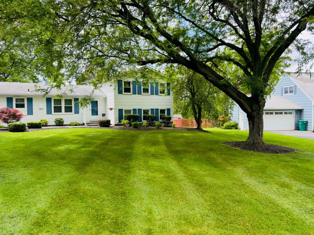 Charming home with manicured lawn and large tree in a suburban neighborhood on a sunny day.
